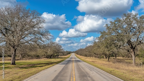 Wallpaper Mural Country Road Through Bare Trees Under a Blue Sky Torontodigital.ca