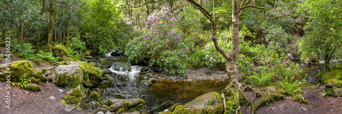 Panorama Killarney-Nationalpark in Irland photo