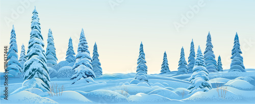 Winter landscape, with standing in the foreground snow-covered fir trees illuminated in evening or morning light. Vector  Illustration.
