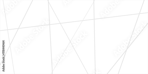 Abstract lines in black and white tone of many squares and rectangle shapes on white background. Metal grid isolated on the white background. nervures de feuilles mortes, fond rectangle and geometric
