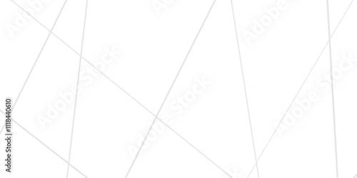 Abstract lines in black and white tone of many squares and rectangle shapes on white background. Metal grid isolated on the white background. nervures de feuilles mortes, fond rectangle and geometric