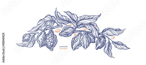 Cocoa vintage art branch Organic chocolate, butter