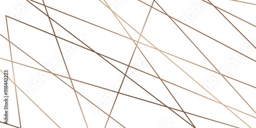 Abstract lines in black and white tone of many squares and rectangle shapes on white background. Metal grid isolated on the white background. nervures de feuilles mortes, fond rectangle and geometric