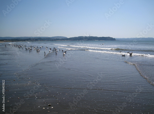 千葉県富津　春霞の風景(大佐和海岸)