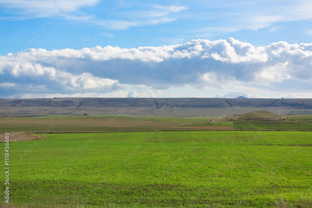 beautiful view in farm field with rural plants beautiful view in farm field with rural plants