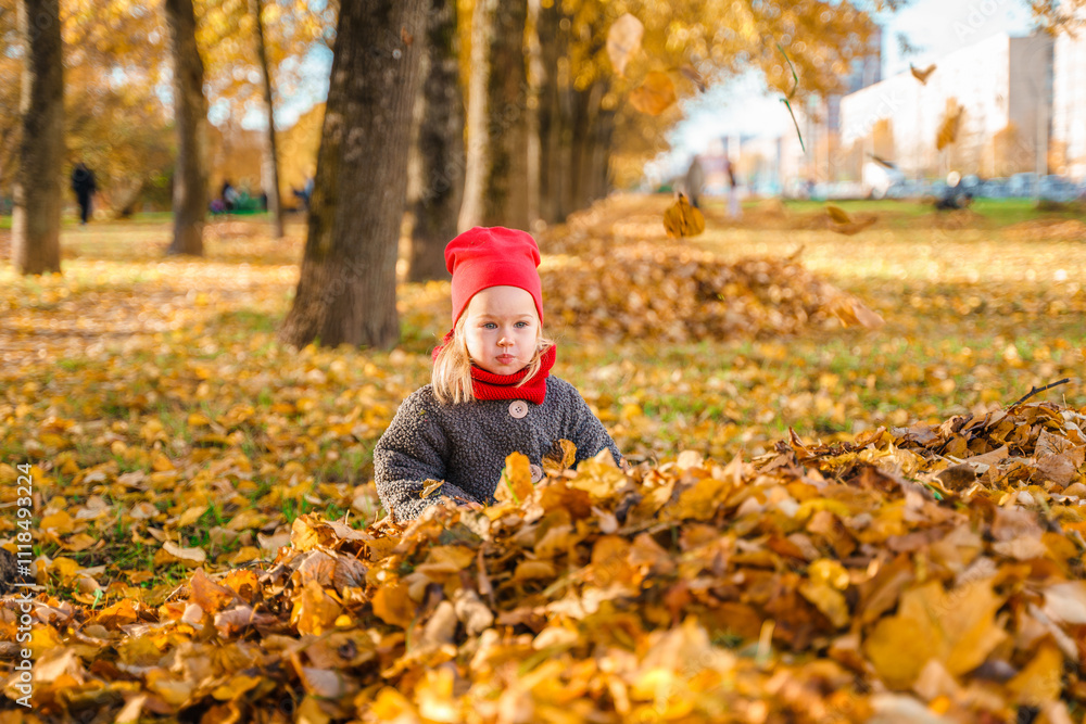Caucasian cute little child girl toddler is playing with a bunch of autumn leaves in the park on a golden autumn sunny day. Caucasian cute little child girl toddler is playing with a bunch of autumn leaves in the park on a golden autumn sunny day.