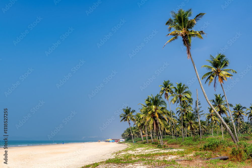 Sunny beach with coco palms and tropical sea in GOA, India