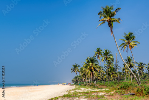 Obraz na płótnie Sunny beach with coco palms and tropical sea in GOA, India w salonie