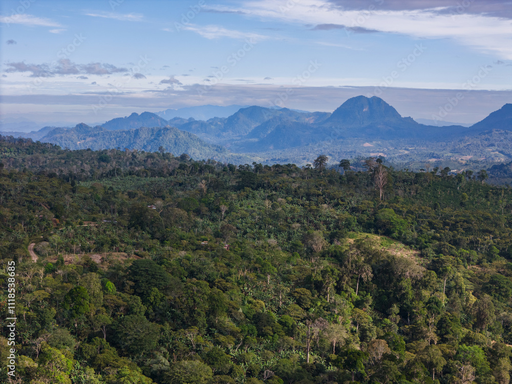 Fototapeta premium Green tropical forest with mountain and hills