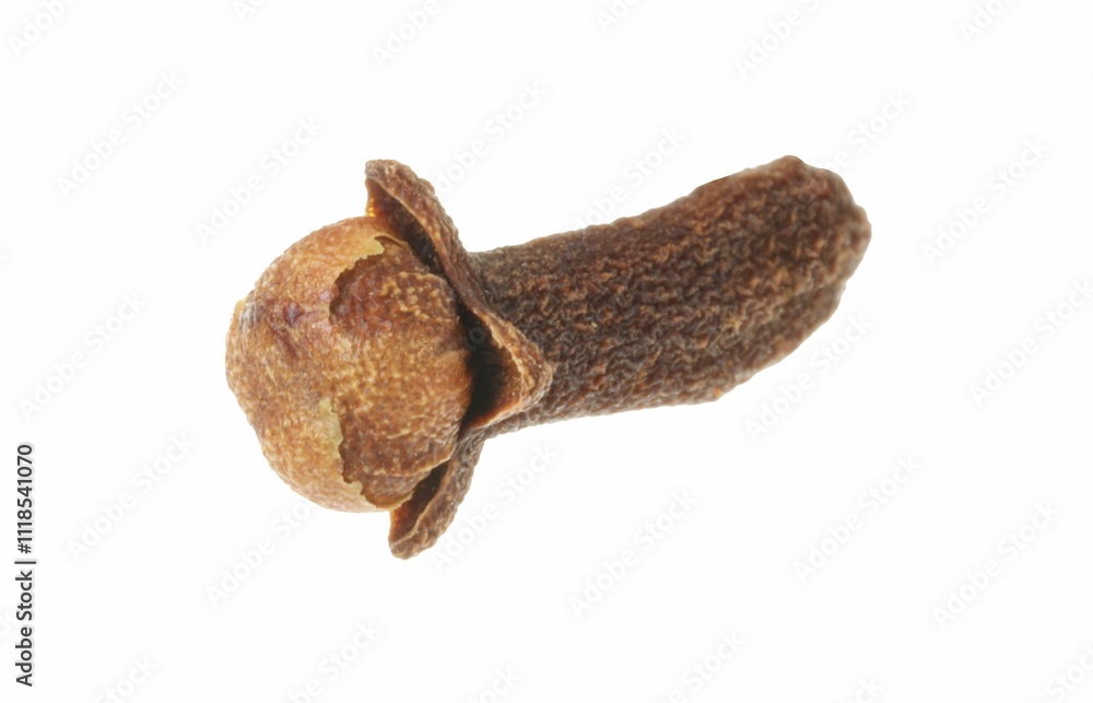 One dry clove bud isolated on white. Aromatic spice One dry clove bud isolated on white. Aromatic spice