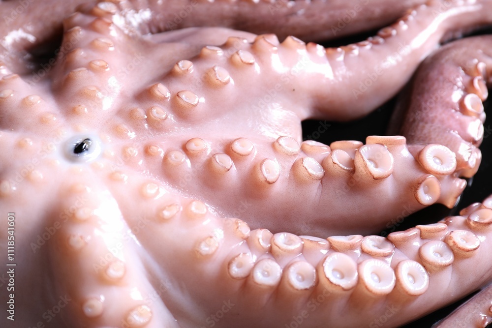 One fresh raw octopus on table, closeup One fresh raw octopus on table, closeup