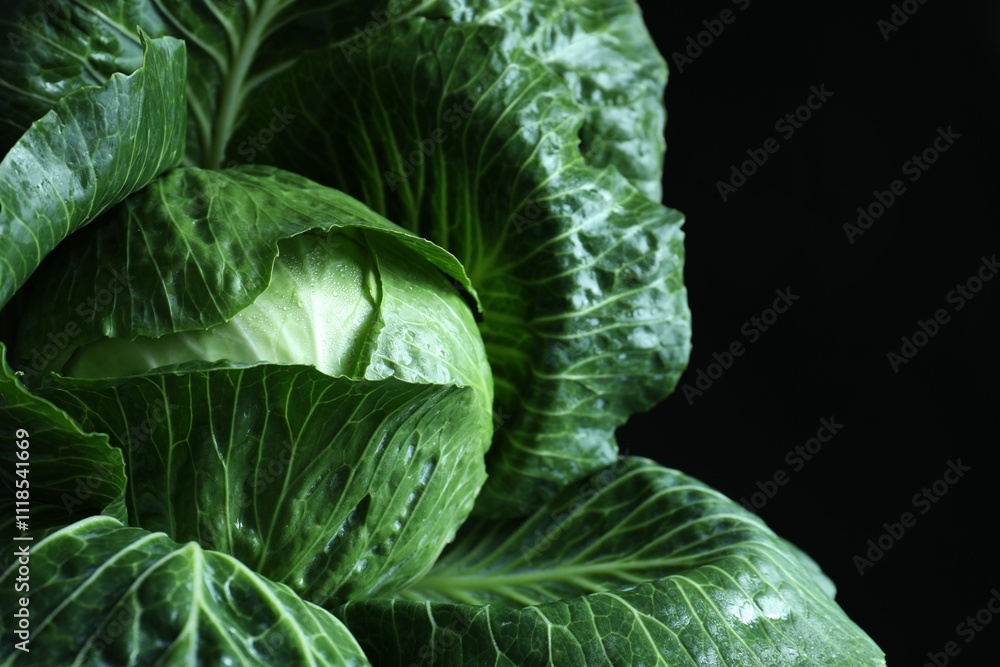 Obraz premium Whole ripe head of cabbage on dark background, closeup