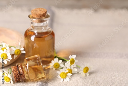 Bottles of essential oil and chamomile flowers on table, closeup. Space for text