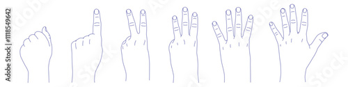 Set of hand gestures in various positions sketch. Counting with fingers. One, two, three, four and five. Fist and palm back. Index, middle, ring, little fingers and thumb