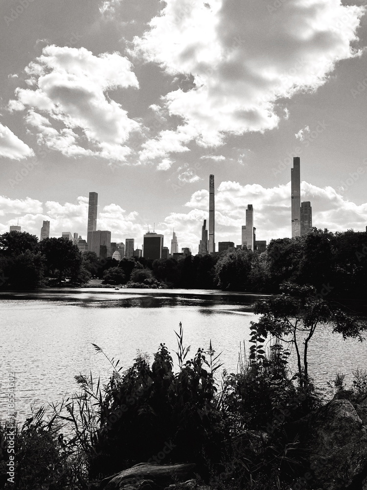 Naklejka premium Black and White central park