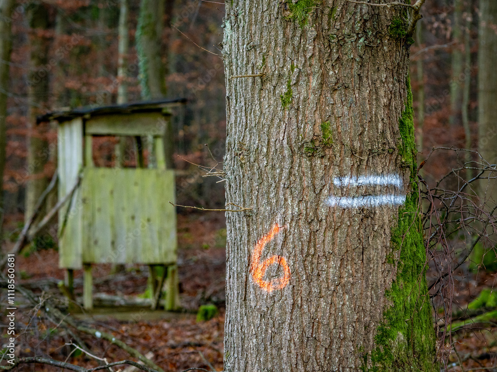 Fototapeta premium Hoch und Jägersitz am Waldrand