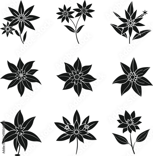 Edelweiss flower isolated thin line icon. Edelweiss flower Vector symbol of alpinism, Switzerland alps. national decoration