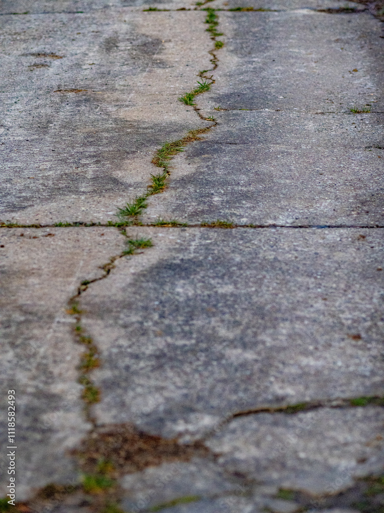 Obraz premium Strassenschäden auf einer alten Teerstrasse