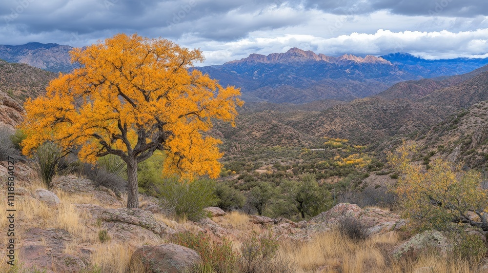 Obraz premium A vibrant autumn landscape featuring a golden tree amidst rocky hills and distant mountains.