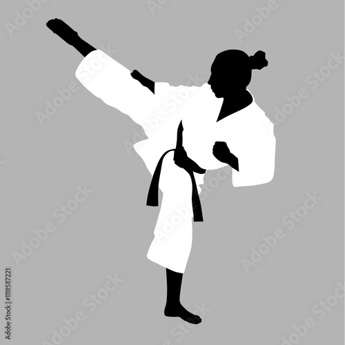 Taekwondo fighter vector illustration