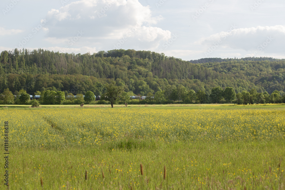 Idyllic landscape in Bad Sooden-Allendorf with yellow-green rapeseed meadows, blooming flowers and mountain peaks in the background. Idyllic landscape in Bad Sooden-Allendorf with yellow-green rapeseed meadows, blooming flowers and mountain peaks in the background.