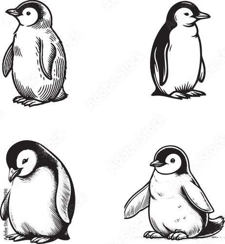Hand-Drawn Penguin Illustrations Set