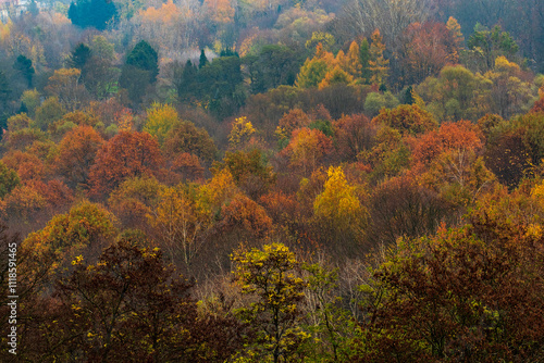 autumn colors visible on the trees