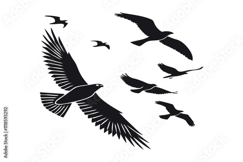 silhouette of birds in flight against white background