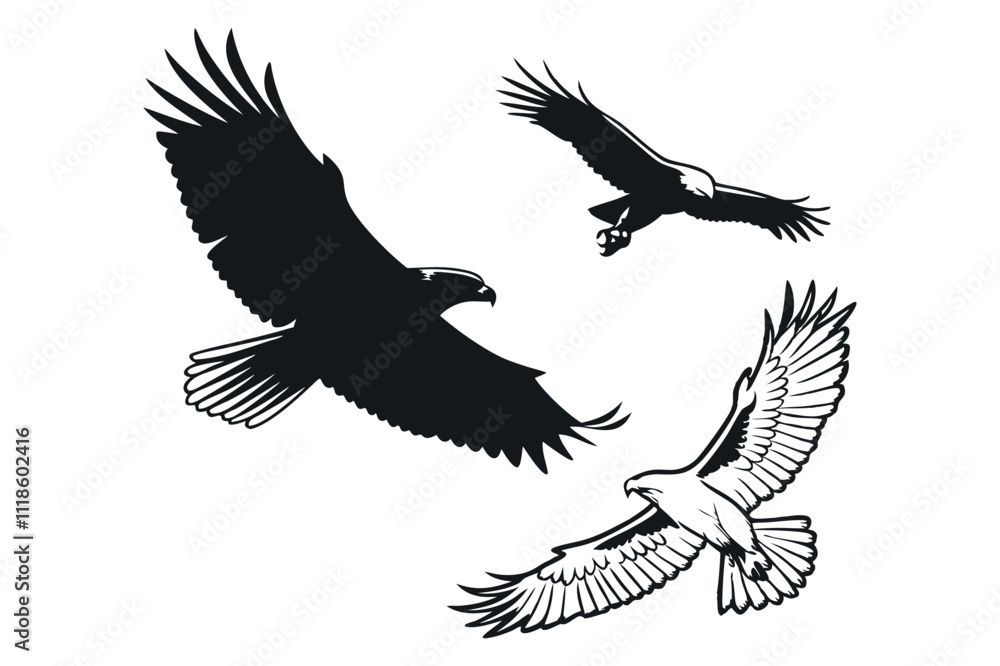majestic birds in flight: a trio of soaring eagles in black and white illustration. eps 10 majestic birds in flight: a trio of soaring eagles in black and white illustration. eps 10