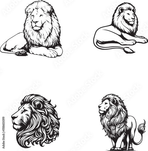Hand-Drawn Lion Illustrations Set
