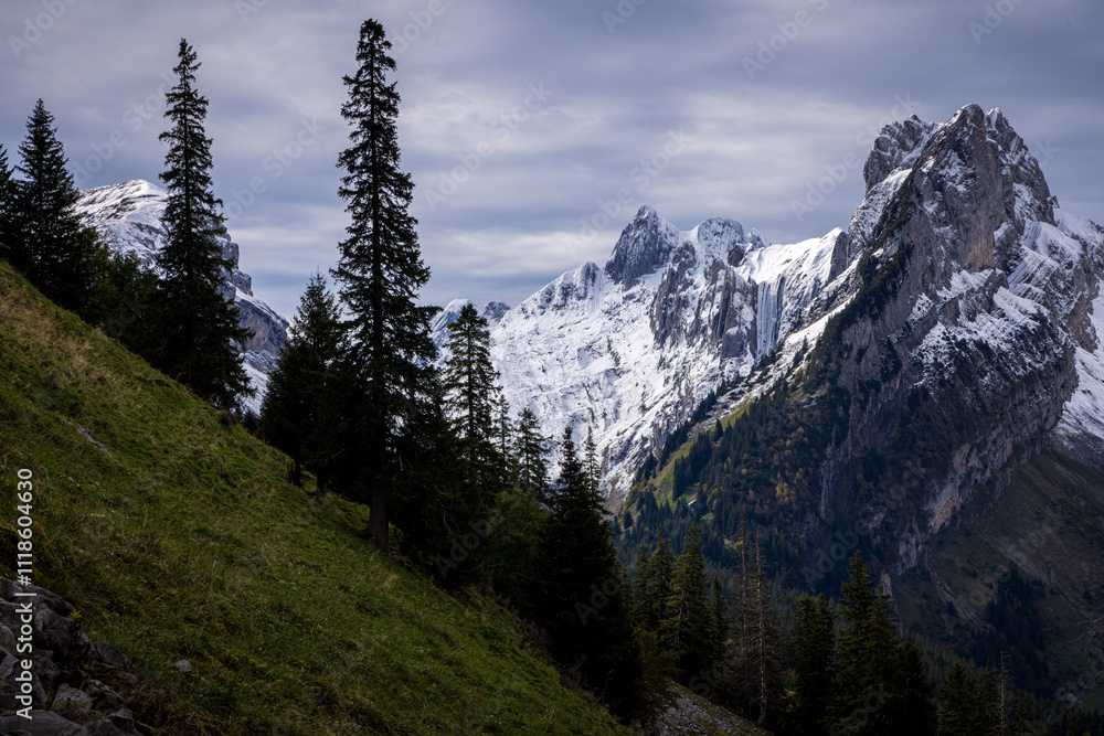 Obraz premium peaks of alpstein during winter in the alps of switzerland