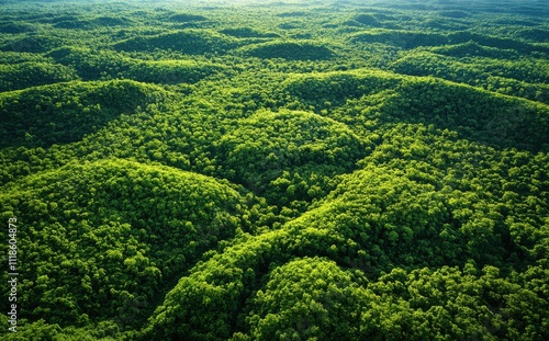 Aerial View of Lush Green Forest Covering Rolling Hills Under Bright Blue Sky, Capturing Nature's Beauty and Tranquility in Vibrant Shades of Green photo