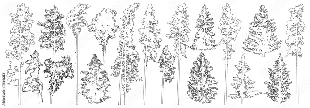 Set of coniferous and deciduous trees for architecture and landscape design, line drawing, contour. Vector illustration
