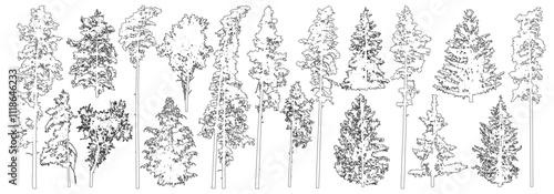 Set of coniferous and deciduous trees for architecture and landscape design, line drawing, contour. Vector illustration