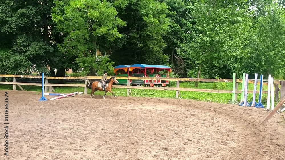 boy doing equestrian sport on pony, dressage on horse, jockey on brown pony boy doing equestrian sport on pony, dressage on horse, jockey on brown pony