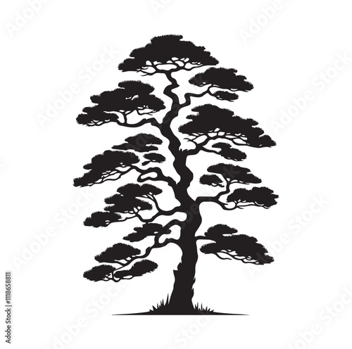 pine tree silhouette vector illustration
