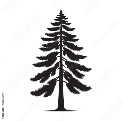 pine tree silhouette vector illustration