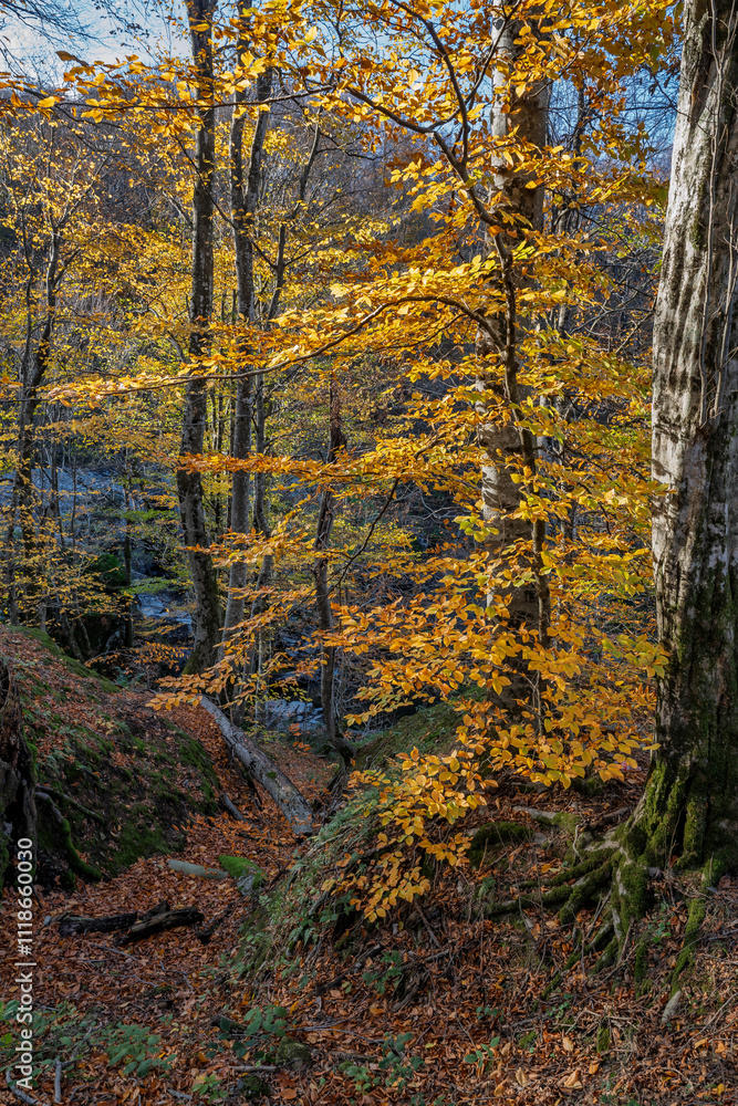 Obraz premium Suuctu waterfalls in Mustafakemalpasa, Bursa
