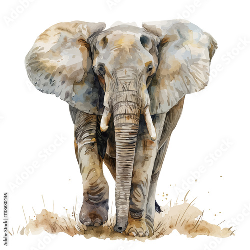 A watercolor vector of an Elephant, isolated on a white background. Elephant vector.