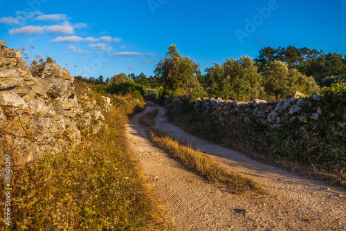 A winding dirt road lined with stone walls, leading through a peaceful countryside landscape with a clear blue sky