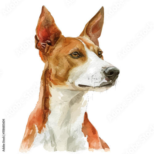 A watercolor drawing of a Basenji, isolated on a white background. Basenji vector. photo