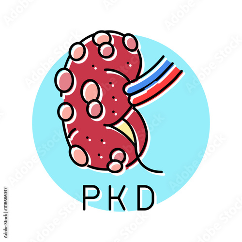 polycystic kidney disease color icon vector. polycystic kidney disease sign. isolated symbol illustration