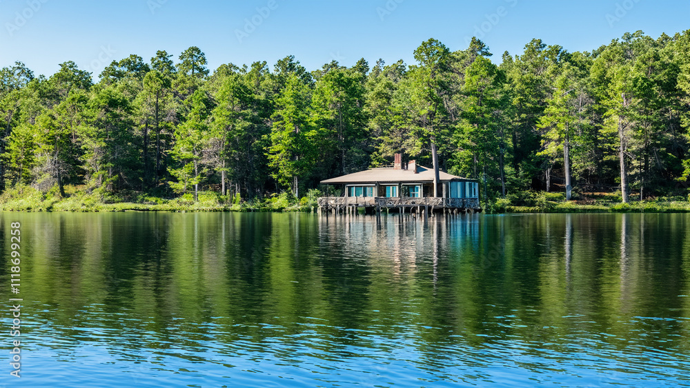 Serene lakeside cabin surrounded by tall pine trees vactor art Serene lakeside cabin surrounded by tall pine trees vactor art
