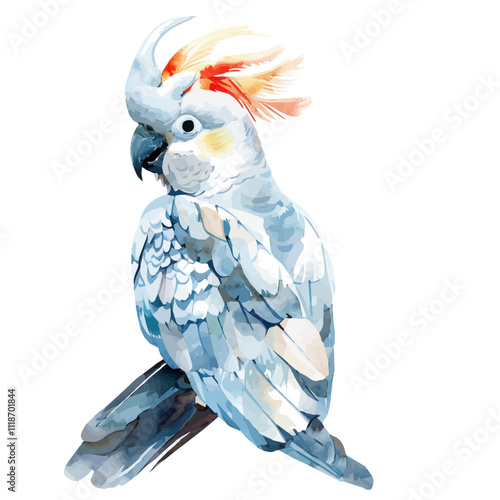 A watercolor painting of a Cockatoo, isolated on a white background. Cockatoo vector.