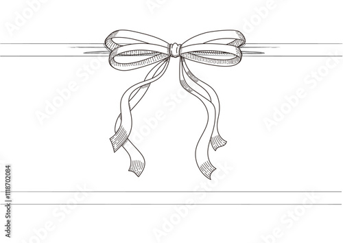 Set of long  bow and ribbon. Hand drawn vintage line art. Ink sketched vector illustration.