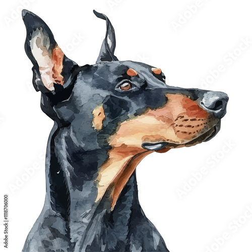 A watercolor of a Doberman Pinscher, isolated on a white background. Doberman Pinscher vector.