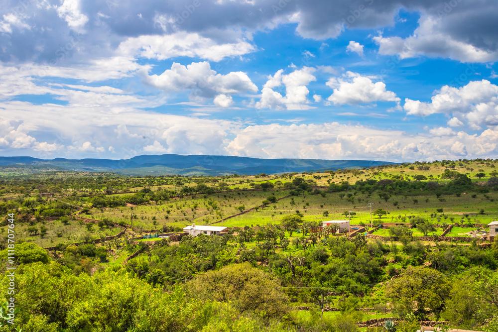 Rural landscape of the low deciduous forest, mountains with vegetation and blue sky with clouds, at the Los Cardos ranch in Monte Escobedo, Zacatecas Rural landscape of the low deciduous forest, mountains with vegetation and blue sky with clouds, at the Los Cardos ranch in Monte Escobedo, Zacatecas