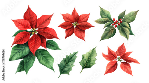 Emerald christmas greenery, red poinsettia, amaryllis, spruce, fir, cedar, winter berry vector design garlands. Wedding or new year party invitation borders. Watercolor style. Isolated and editable