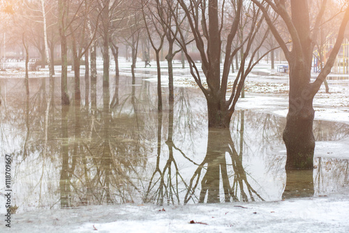 A misty winter morning in a park, where melting snow has caused flooding. The reflections of the trees in the water add to the serene and tranquil ambiance.