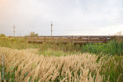 A serene rural landscape featuring a small bridge overgrown with lush greenery, power lines, and a vast field under a cloudy sky. Perfect for themes of tranquility and countryside beauty